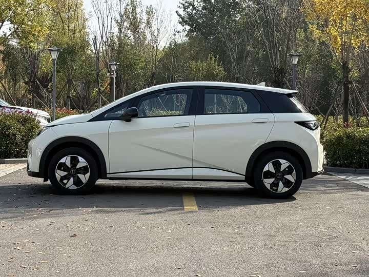 Фото 5 - BYD Dolphin