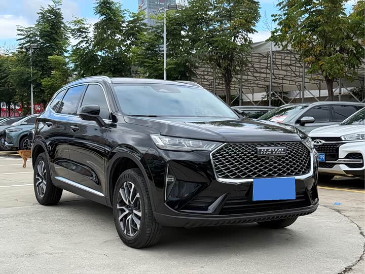 Фото 3 - Haval H6
