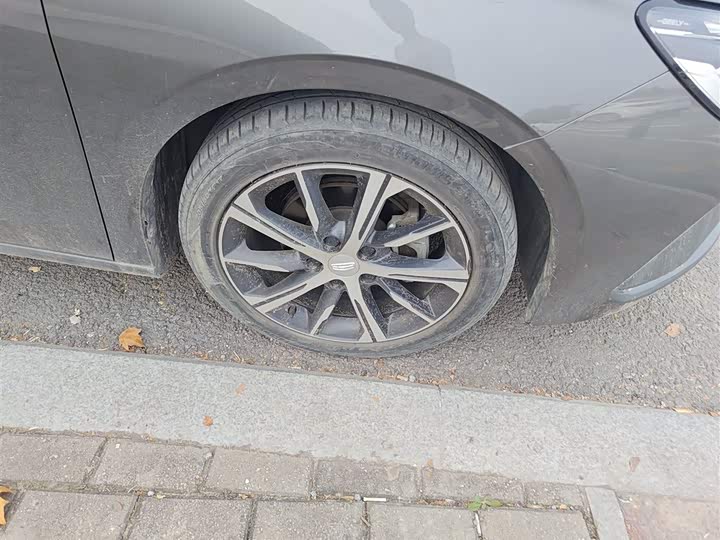 Фото 9 - Geely Emgrand