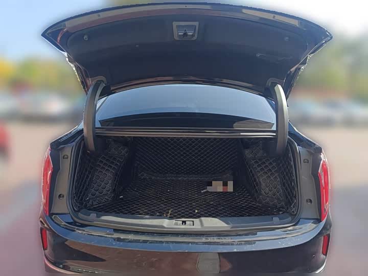 Фото 10 - Hongqi E-QM5