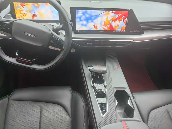 Фото 10 - Changan Oshan Z6