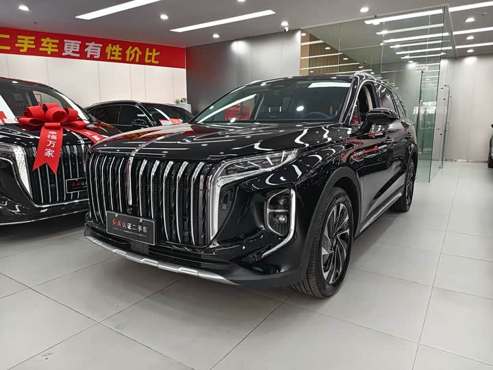 Фото 1 - Hongqi HS7 Hybrid