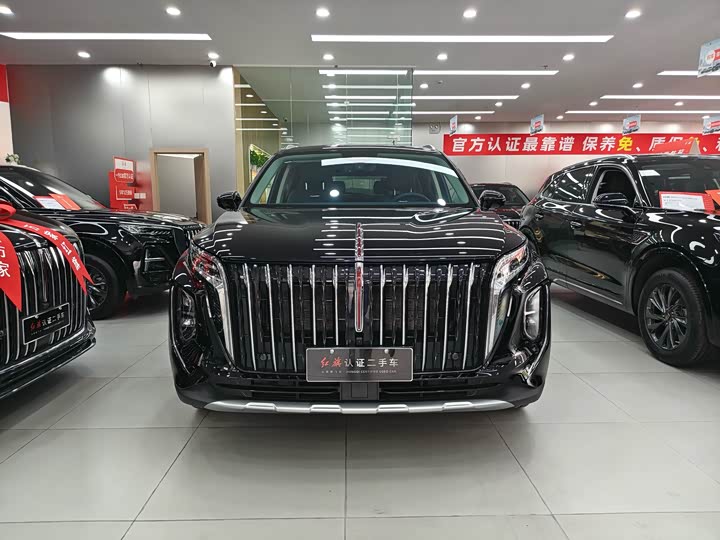 Фото 2 - Hongqi HS7 Hybrid