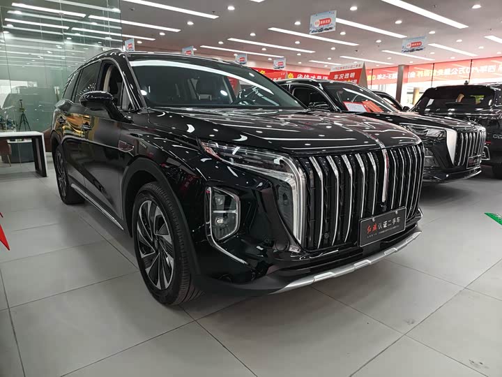 Фото 3 - Hongqi HS7 Hybrid