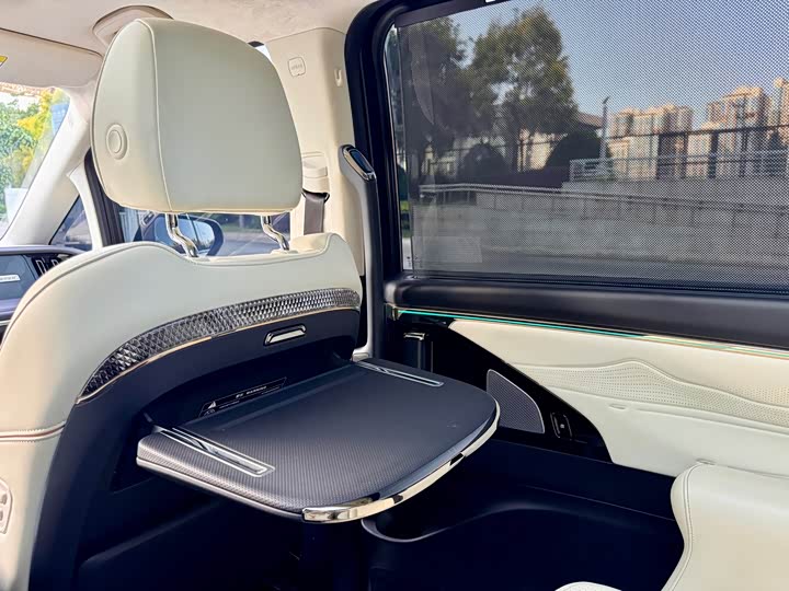 Фото 15 - GAC Trumpchi E9