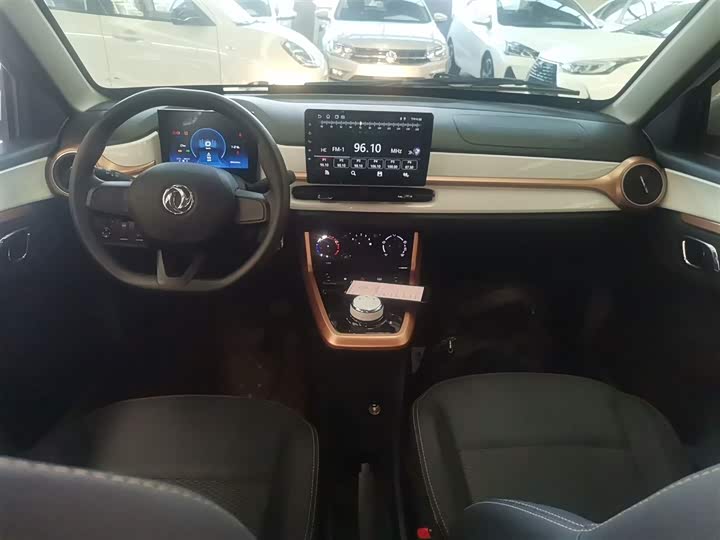 Фото 10 - Dongfeng Nammi Nano EX1 Pro