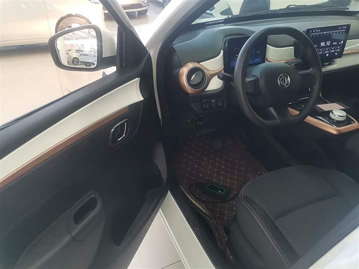 Фото 16 - Dongfeng Nammi Nano EX1 Pro