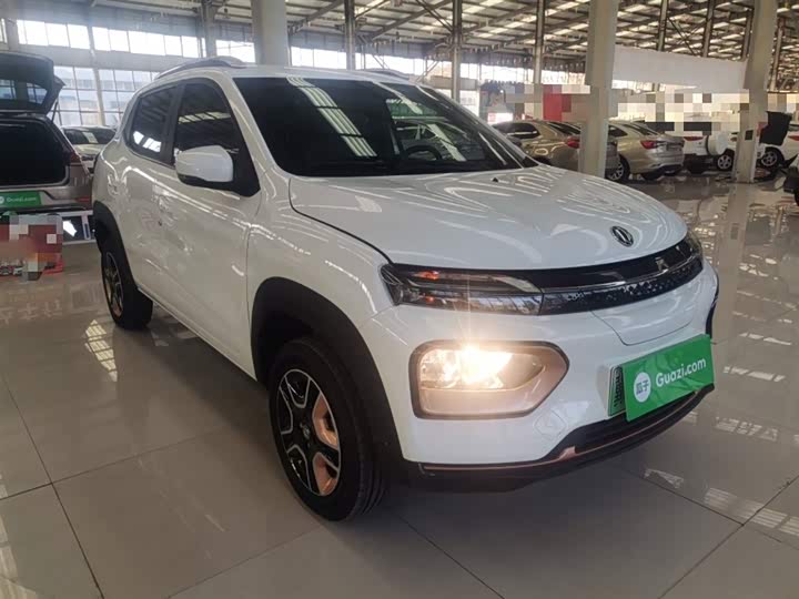 Фото 4 - Dongfeng Nammi Nano EX1 Pro