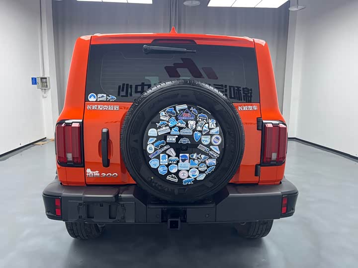 Фото 3 - Tank 300