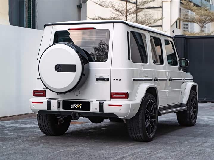 Фото 6 - Mercedes-Benz G-Class AMG