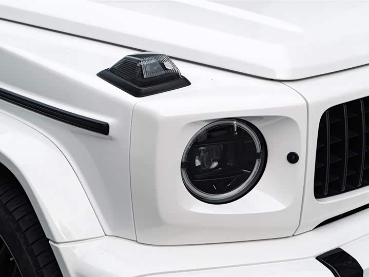 Фото 8 - Mercedes-Benz G-Class AMG