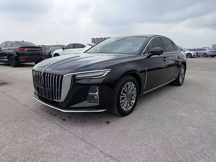 Фото 1 - Hongqi H5