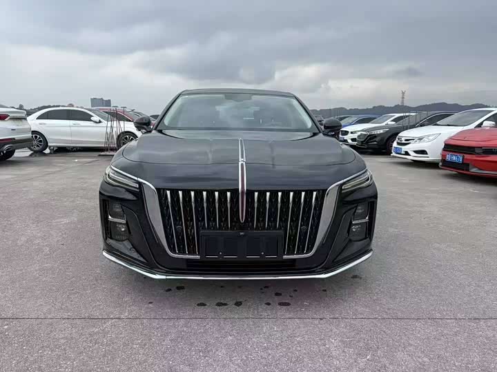 Фото 2 - Hongqi H5