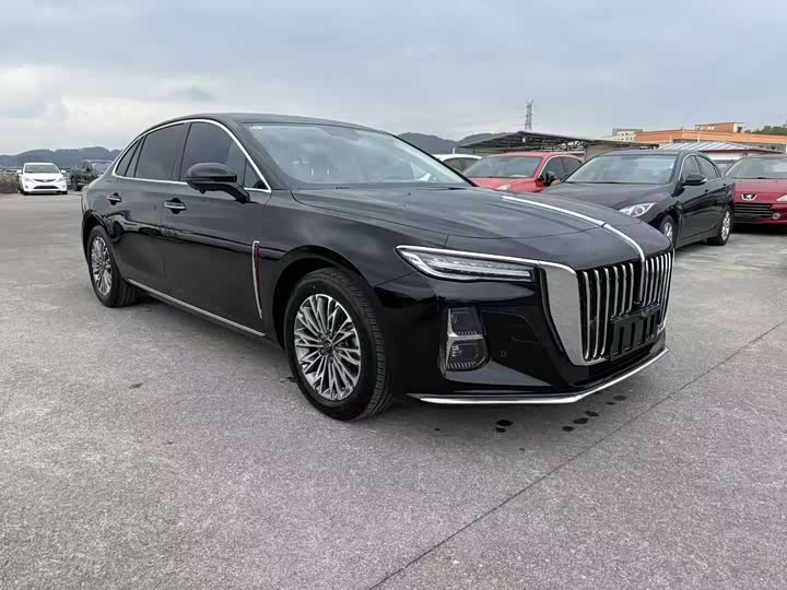 Фото 3 - Hongqi H5
