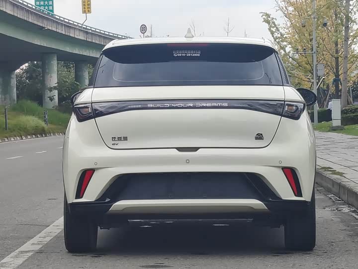 Фото 11 - BYD Dolphin