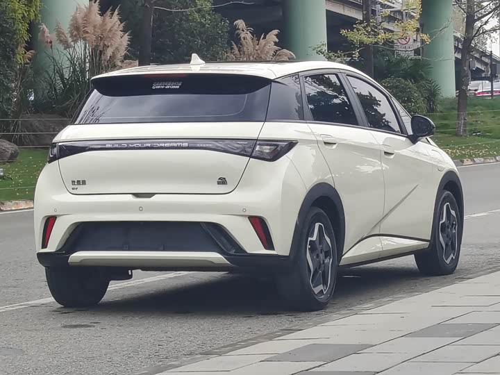 Фото 13 - BYD Dolphin