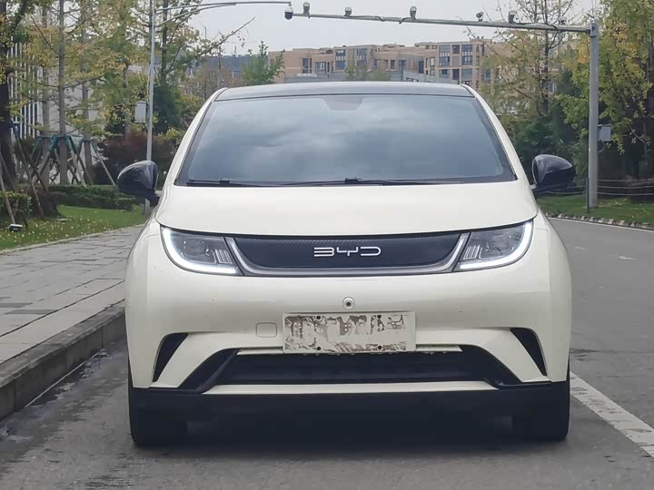 Фото 2 - BYD Dolphin