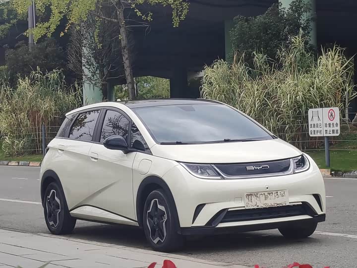 Фото 3 - BYD Dolphin