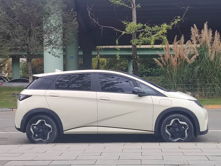 Фото 4 - BYD Dolphin