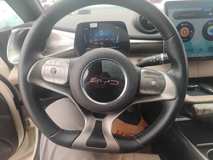 Фото 5 - BYD Dolphin