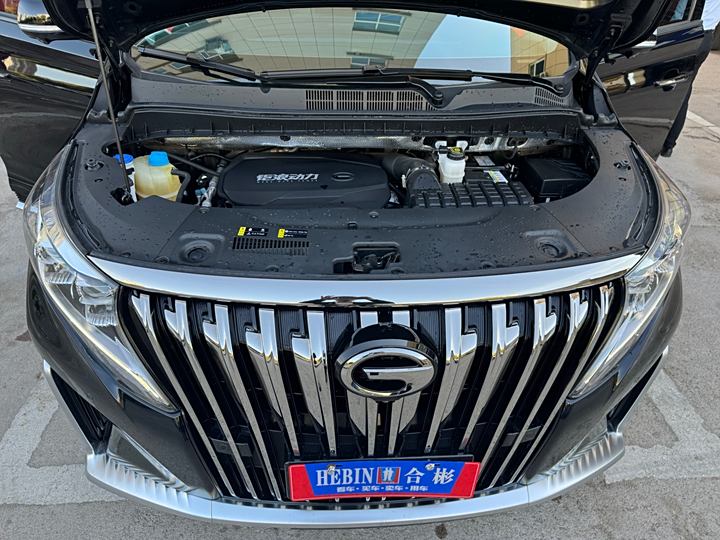 Фото 7 - GAC Trumpchi M8