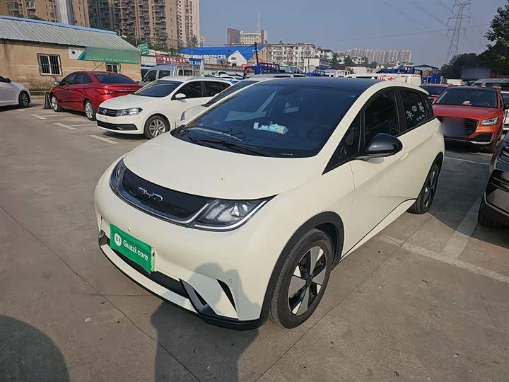 Фото 1 - BYD Dolphin