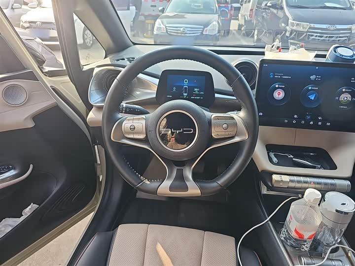 Фото 11 - BYD Dolphin