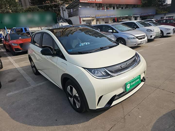 Фото 4 - BYD Dolphin