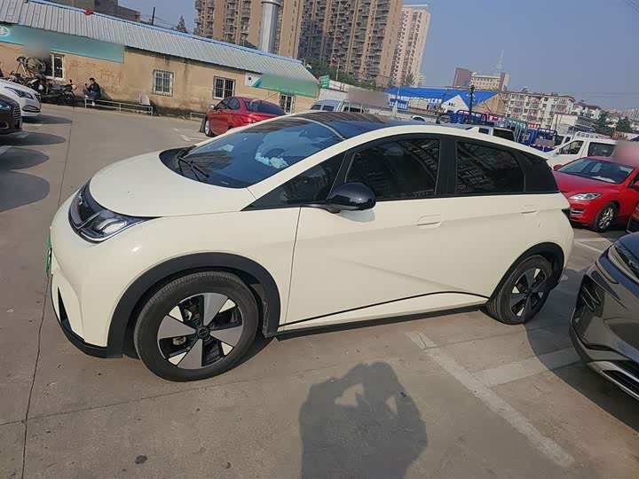 Фото 5 - BYD Dolphin