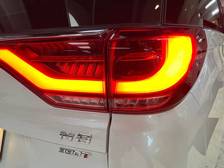 Фото 11 - GAC Trumpchi M8