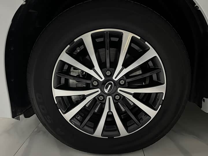 Фото 12 - GAC Trumpchi M8