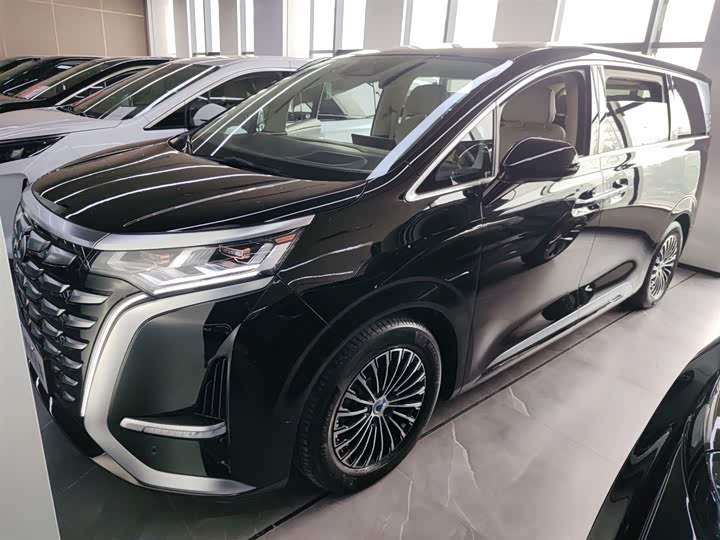 Фото 1 - Denza D9