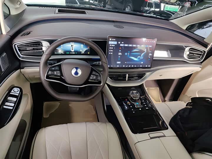 Фото 10 - Denza D9