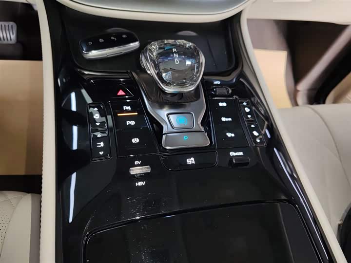 Фото 14 - Denza D9