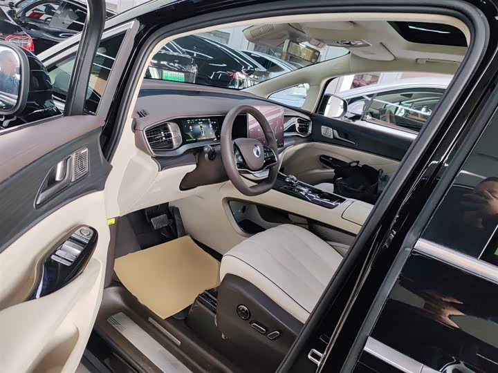 Фото 15 - Denza D9