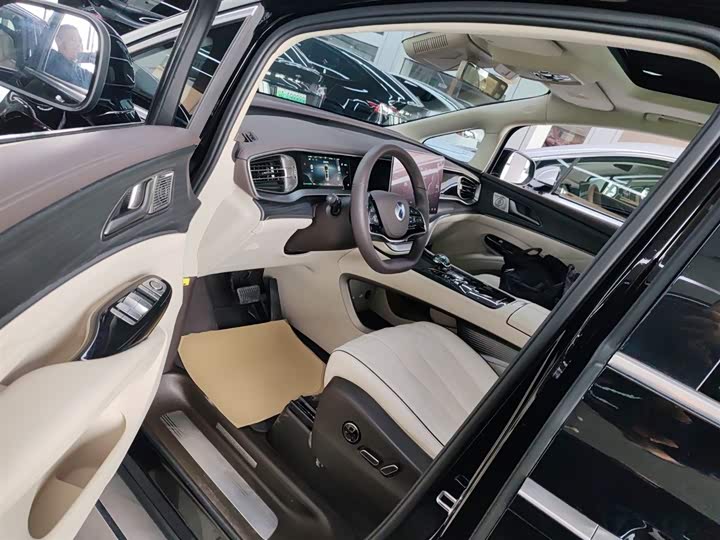 Фото 16 - Denza D9