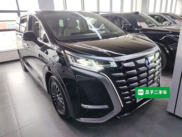 Фото 4 - Denza D9