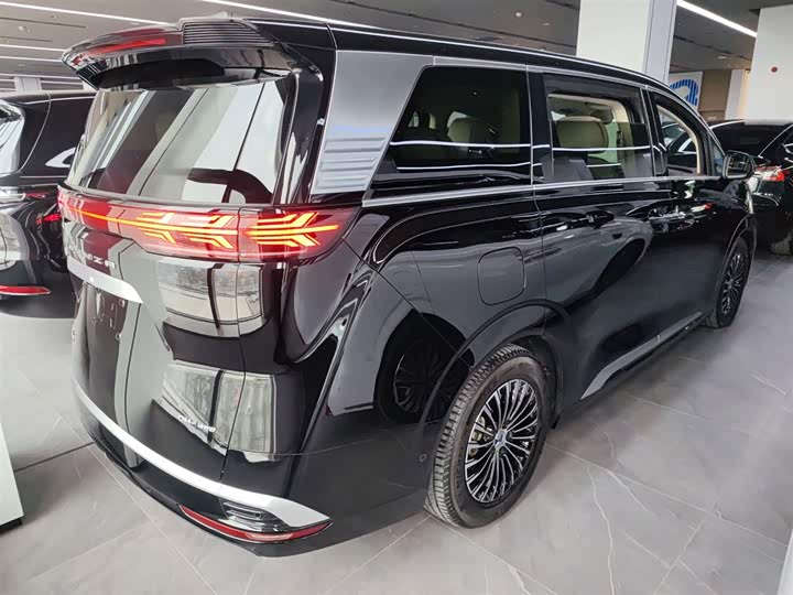 Фото 7 - Denza D9