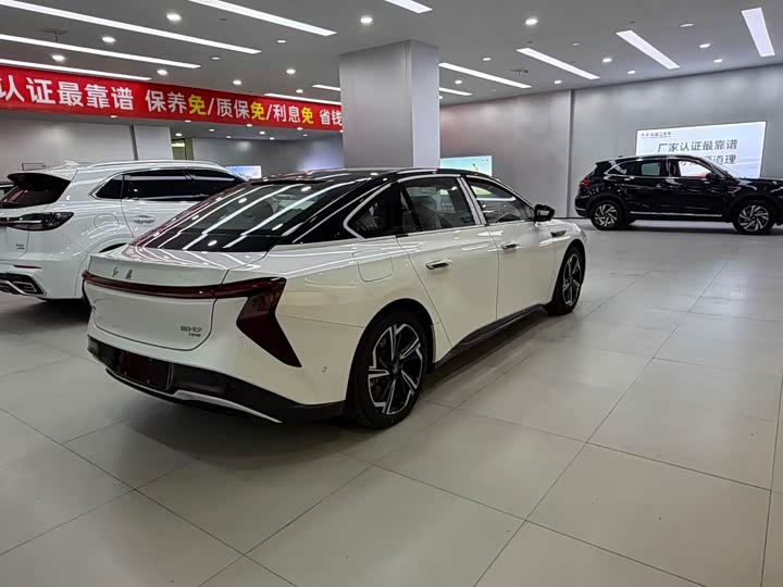 Фото 5 - Hongqi EH7