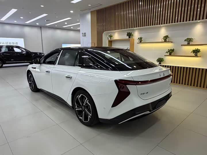 Фото 7 - Hongqi EH7
