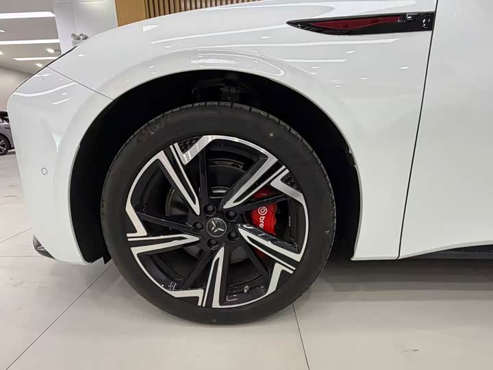 Фото 9 - Hongqi EH7