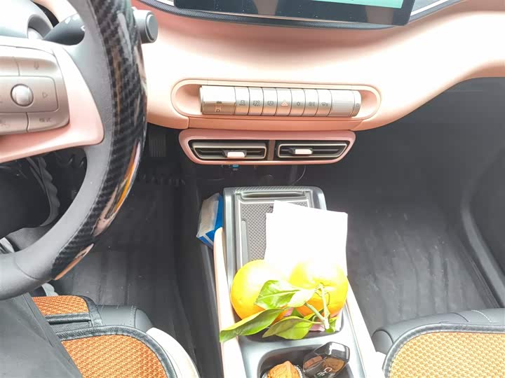 Фото 14 - BYD Seagull