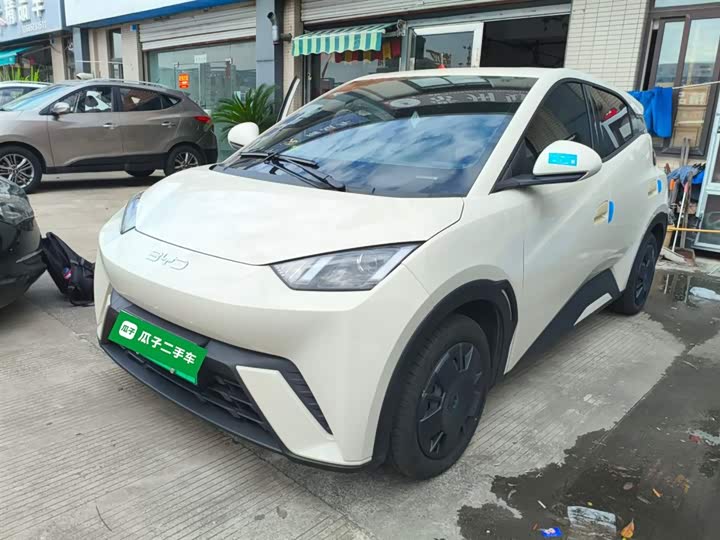 Фото 2 - BYD Seagull