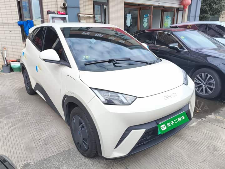 Фото 4 - BYD Seagull