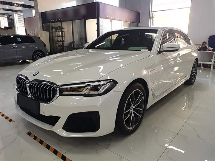 Фото 2 - BMW 5 Series Hybrid