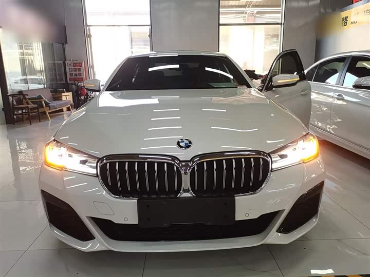 Фото 3 - BMW 5 Series Hybrid