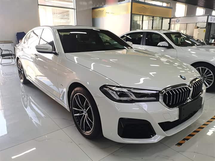 Фото 4 - BMW 5 Series Hybrid