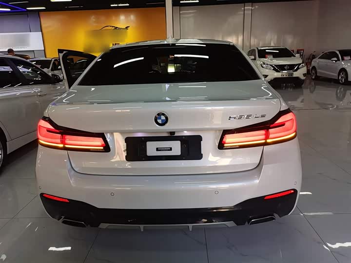 Фото 6 - BMW 5 Series Hybrid