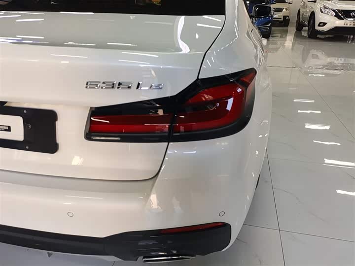 Фото 8 - BMW 5 Series Hybrid