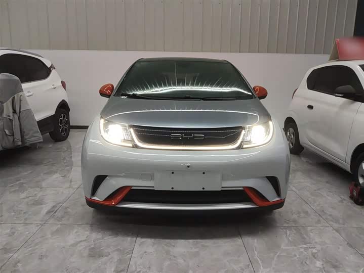 Фото 3 - BYD Dolphin